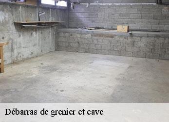 Débarras de grenier et cave  bussy-le-grand-21150 Artisan Morel