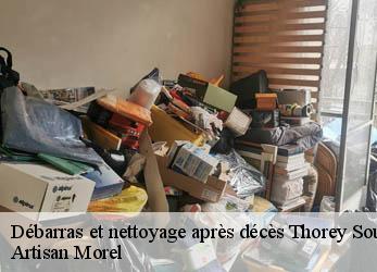 Débarras et nettoyage après décès  thorey-sous-charny-21350 Artisan Morel